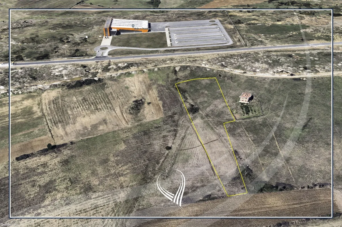 Shitet trualli 72.23 ari në Shkabaj – te Qendra e Panaireve