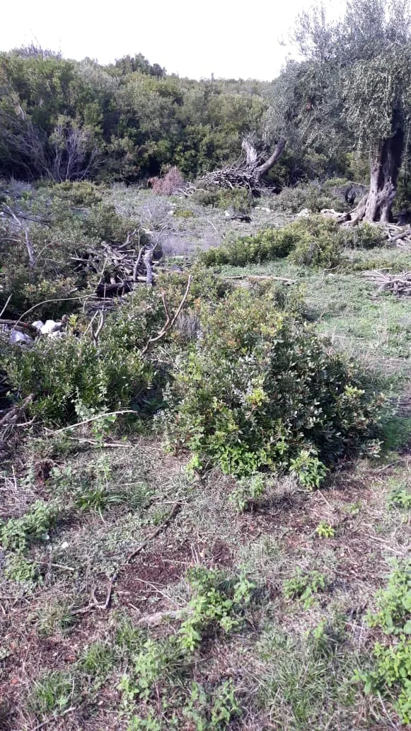 Shitet tokë arë afër plazhit të jalit vuno, himarë