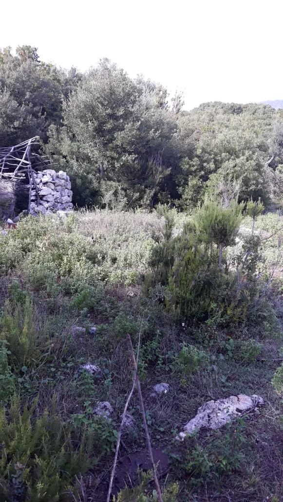 Shitet tokë arë afër plazhit të jalit vuno, himarë
