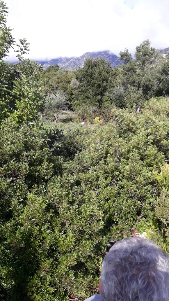 Shitet tokë arë afër plazhit të jalit vuno, himarë