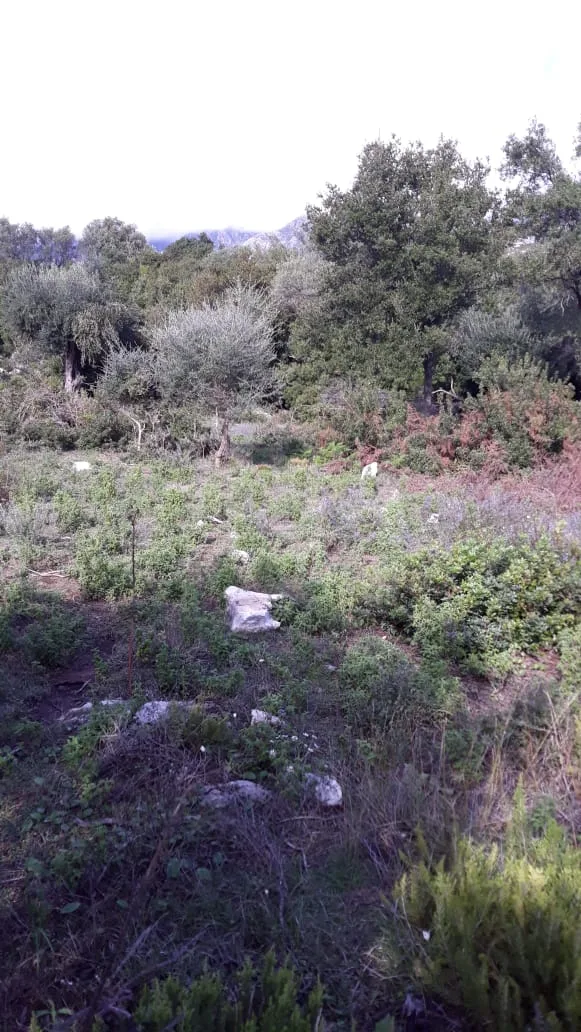 Shitet tokë arë afër plazhit të jalit vuno, himarë