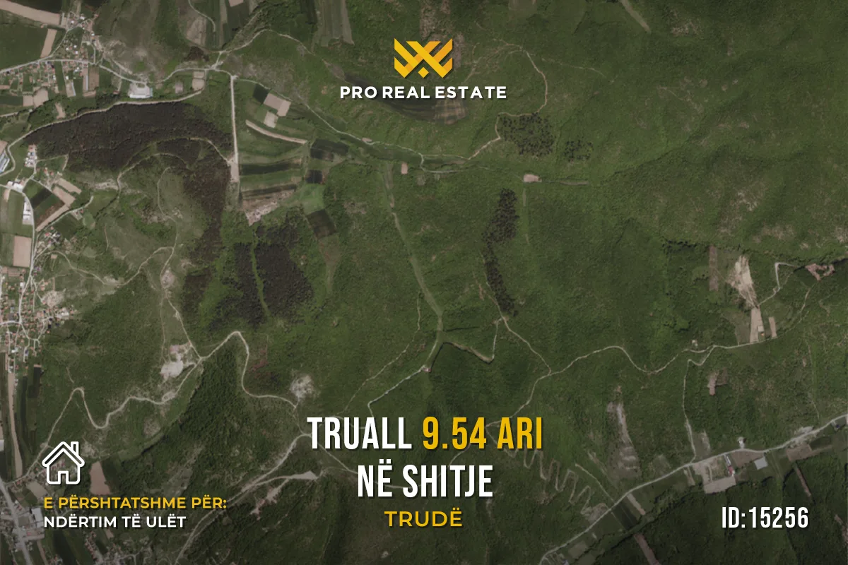 Truall 9.54 Ari për #SHITJE në Trudë
