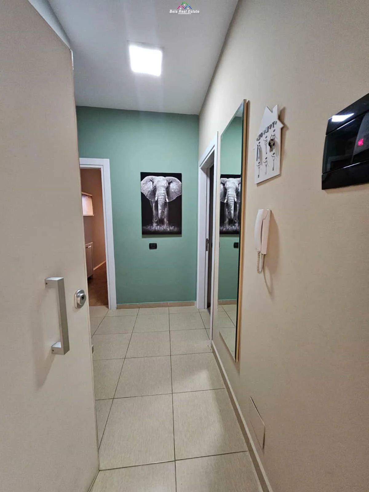 Apartament Me Qera 1+1 Ne Qender (ID B2101435) Tirane