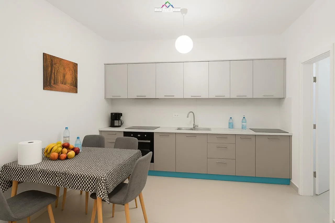 Apartament Me Qera 1+1 Tek Fusha e Aviacionit (ID B2101302) Tirane