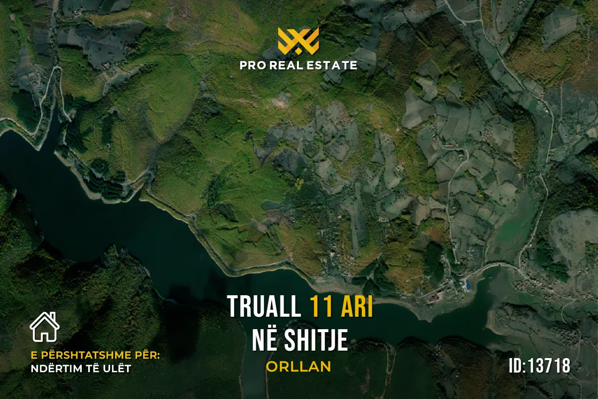Truall 11 Ari për #SHITJE në Orllan