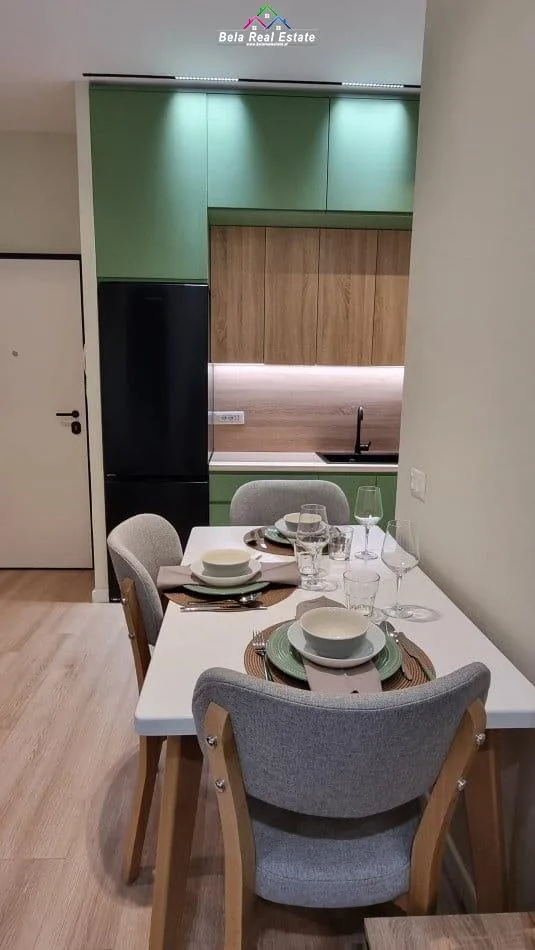 Apartament Me Qera 1+1 Ne Myslym Shyr ( ID B2101495) Tirane