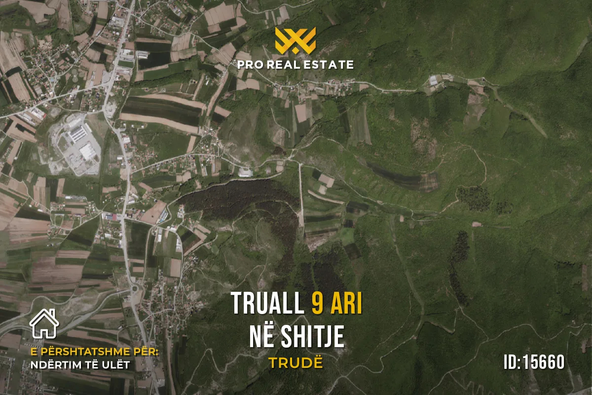 Truall 9 Ari për #SHITJE në Trudë