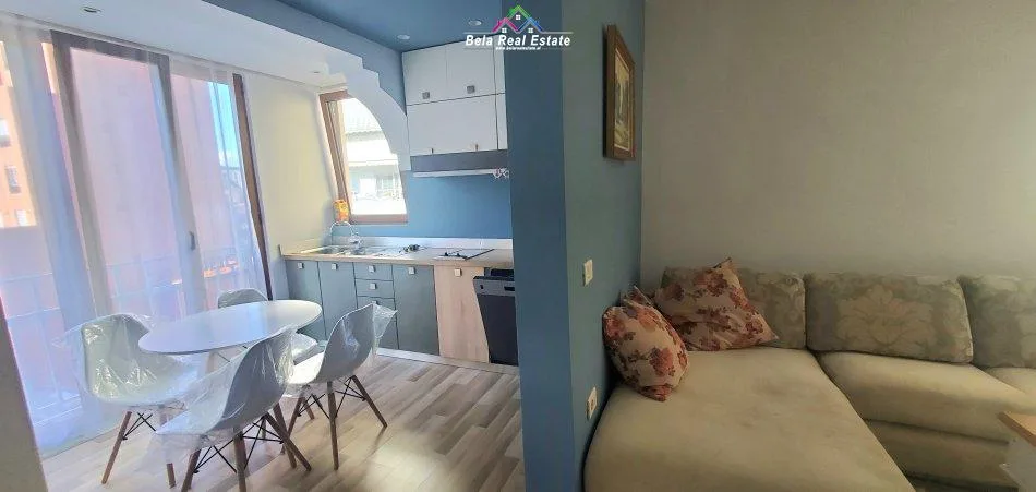 Apartament Me Qera 1+1 Ne Myslym Shyri (ID B211247) Tirane