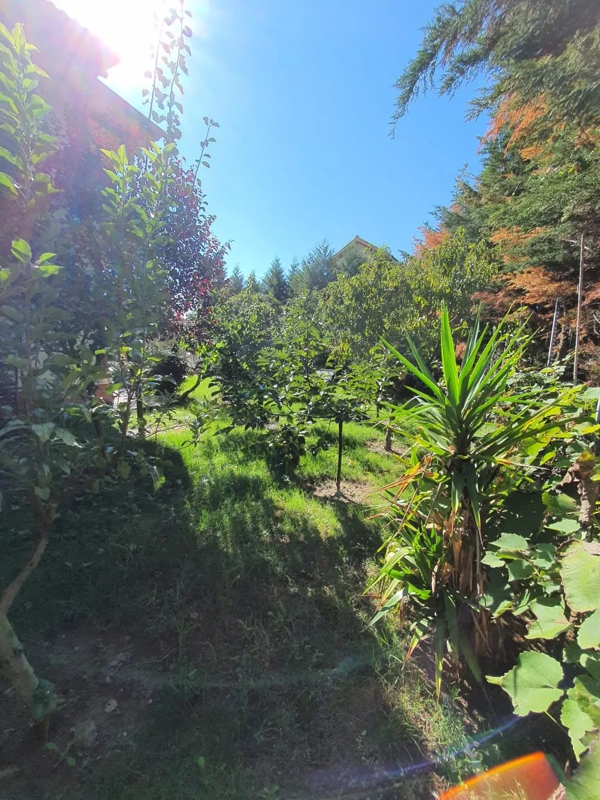 Vile 2 Kateshe per shitje ne Peze te Vogel (ID BV0116) Tirane