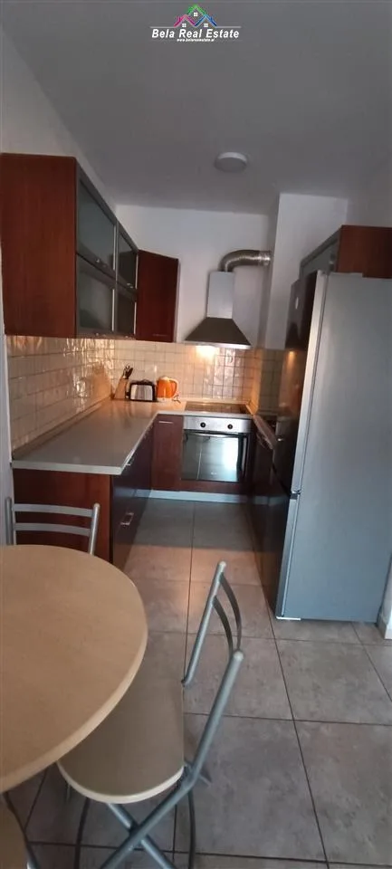 Apartament Me Qera 1+1 Prane Mozaikut te Tiranes (ID B210773) Tirane