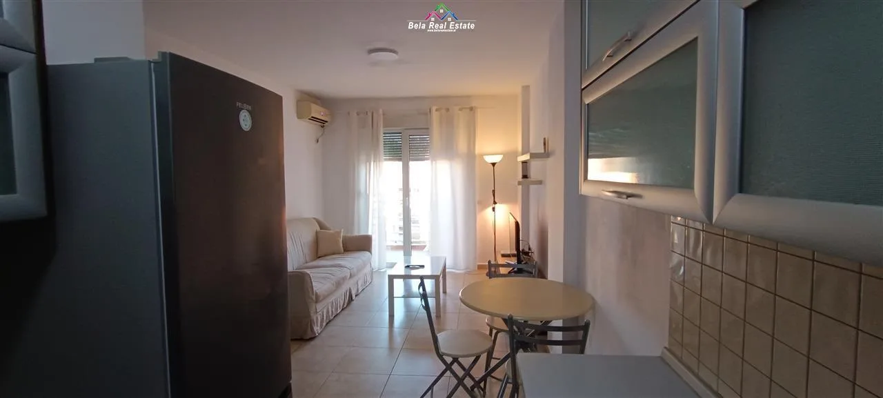 Apartament Me Qera 1+1 Prane Mozaikut te Tiranes (ID B210773) Tirane
