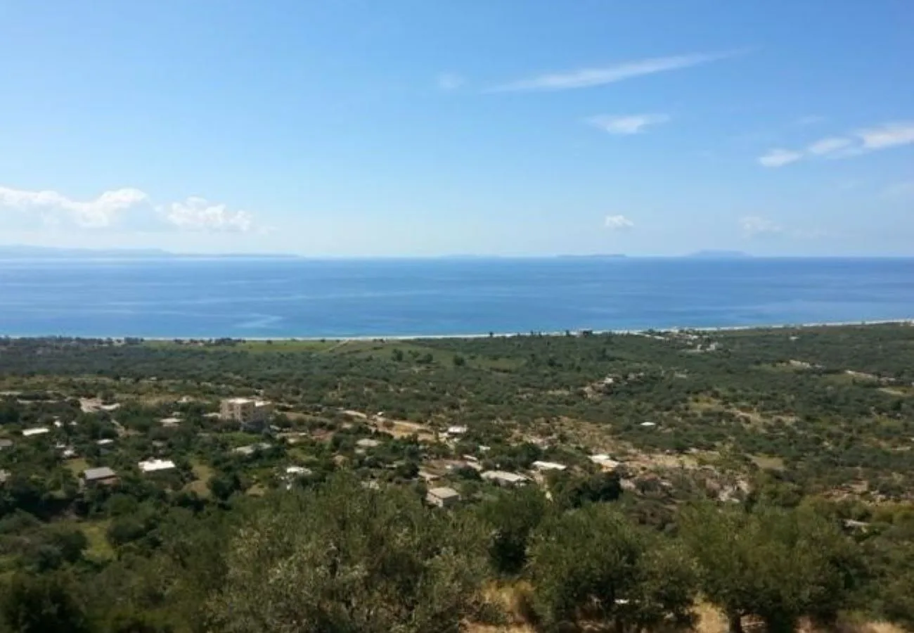 Shitet tokë kullotë borsh, sarandë