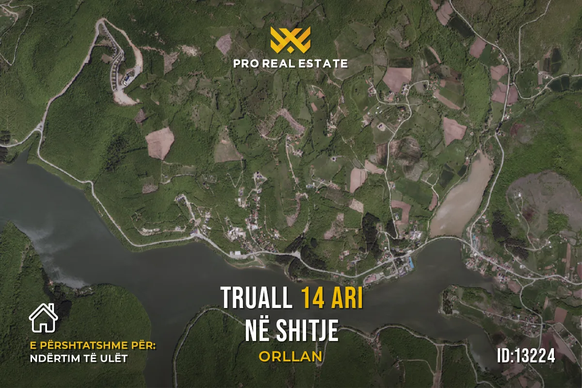 Truall 14 Ari për #SHITJE në Orllan