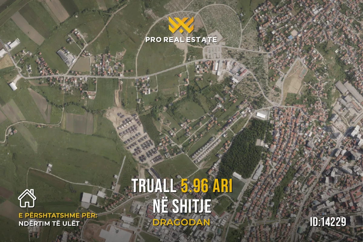 Truall 5.96 Ari për #SHITJE në Dragodan
