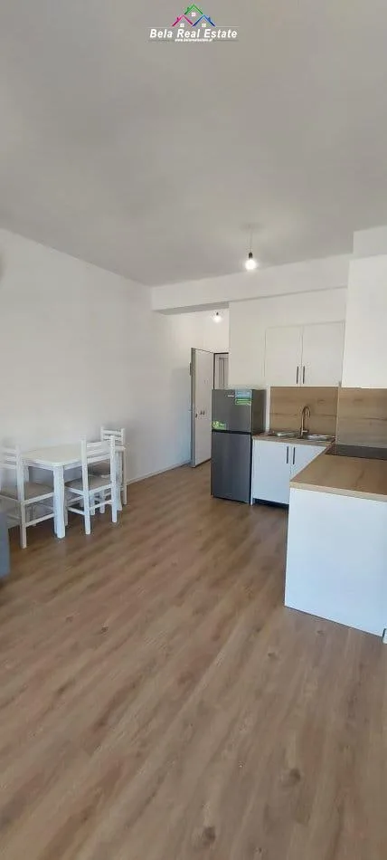 Apartament Me Qera 1+1 Ne Ali Dem (ID B2101328) Tirane