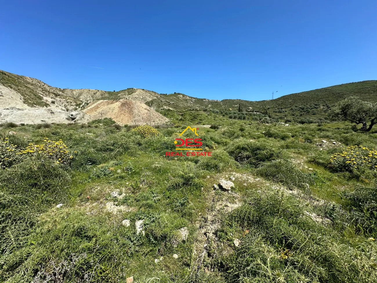 Shitet tokë – ullishte pranë ish fabrikes së cimentos vlorë