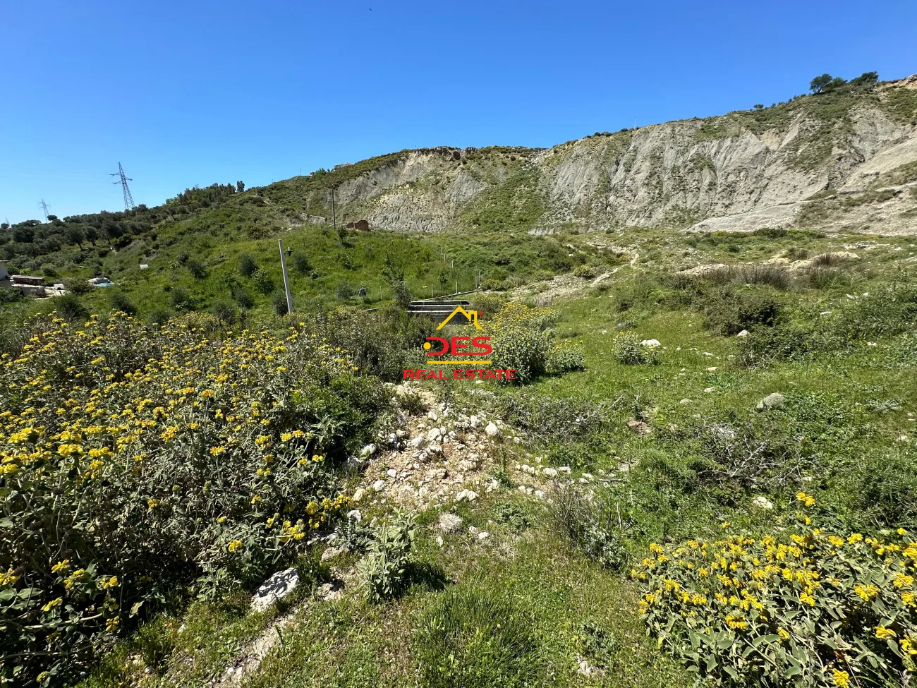 Shitet tokë – ullishte pranë ish fabrikes së cimentos vlorë