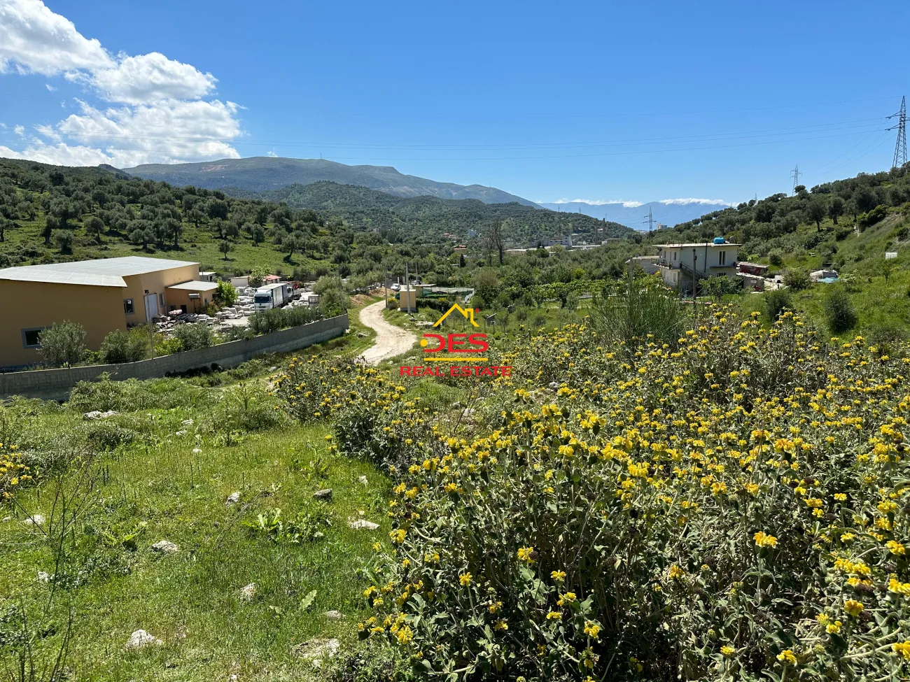 Shitet tokë – ullishte pranë ish fabrikes së cimentos vlorë