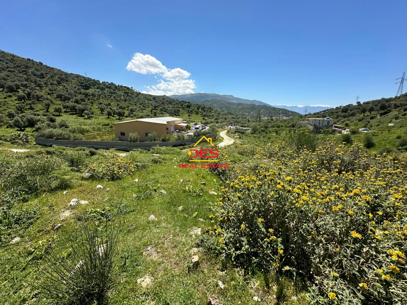 Shitet tokë – ullishte pranë ish fabrikes së cimentos vlorë