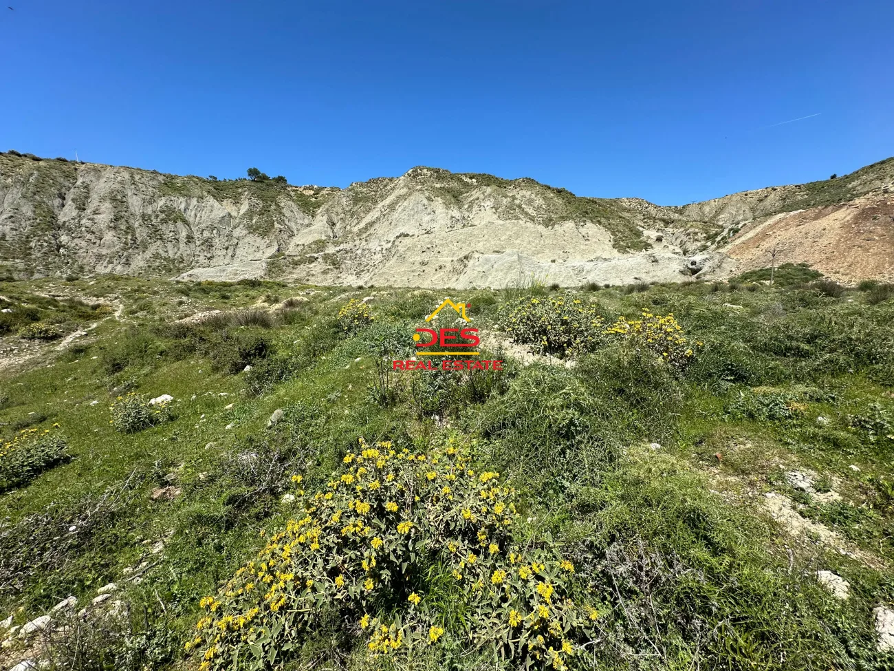 Shitet tokë – ullishte pranë ish fabrikes së cimentos vlorë