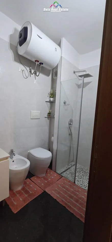 Apartament Me Qera 2+1 Ne Qender (ID B220993) Tirane