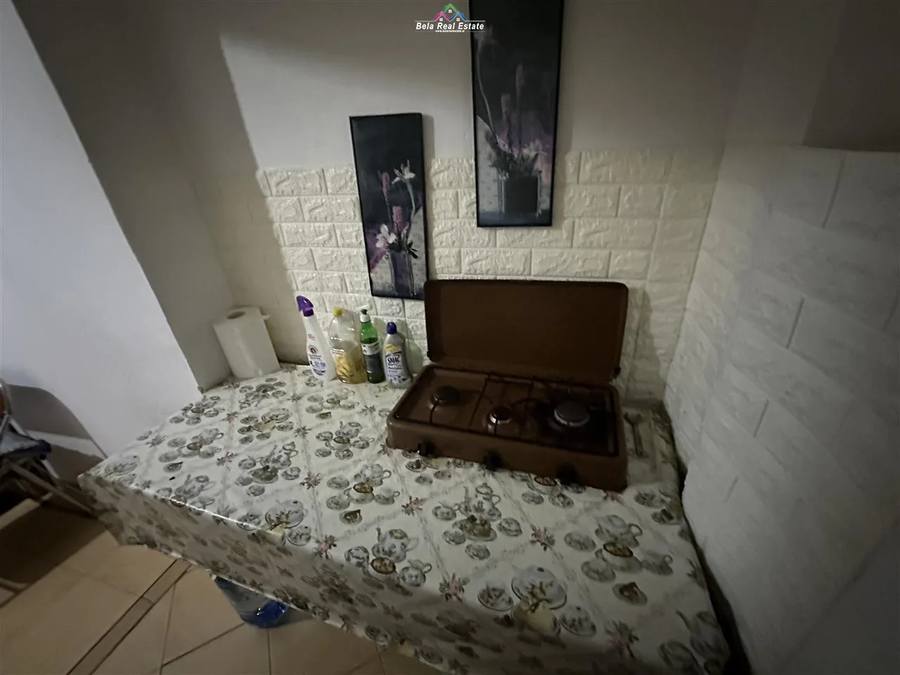 Kat Vile Me Qera 1+1 Te Varri i Bamit (ID BV22280) Tirane.