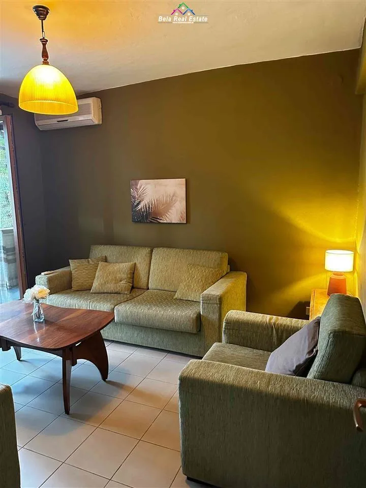 Apartament me qera 1+1 Tek Mine Peza  (ID B211275) Tirane