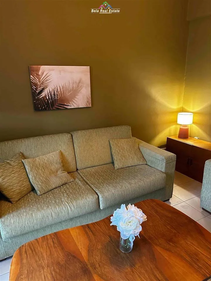 Apartament me qera 1+1 Tek Mine Peza  (ID B211275) Tirane