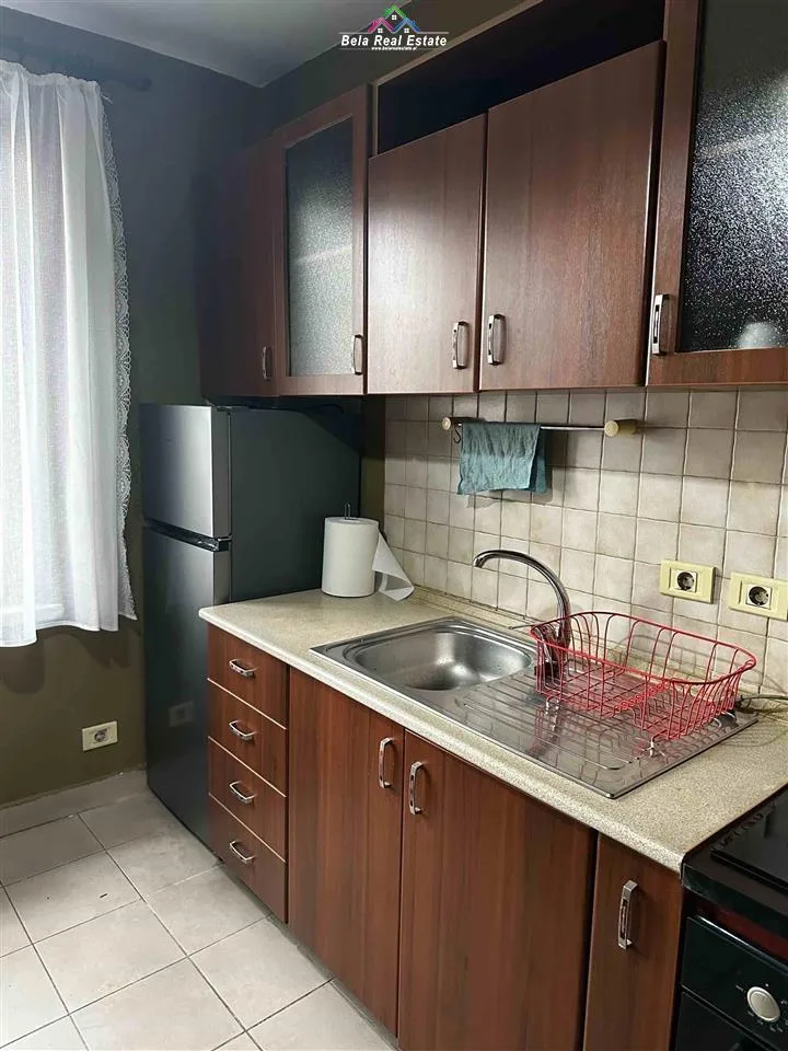 Apartament me qera 1+1 Tek Mine Peza  (ID B211275) Tirane