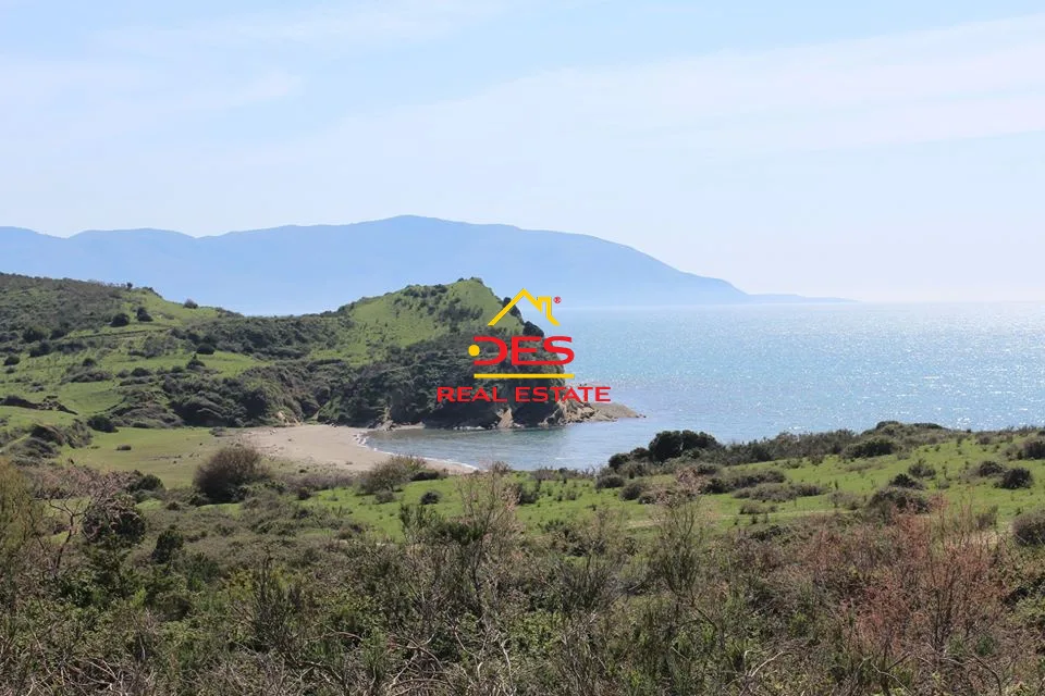 Shiten toka – are në nartë, vlorë.