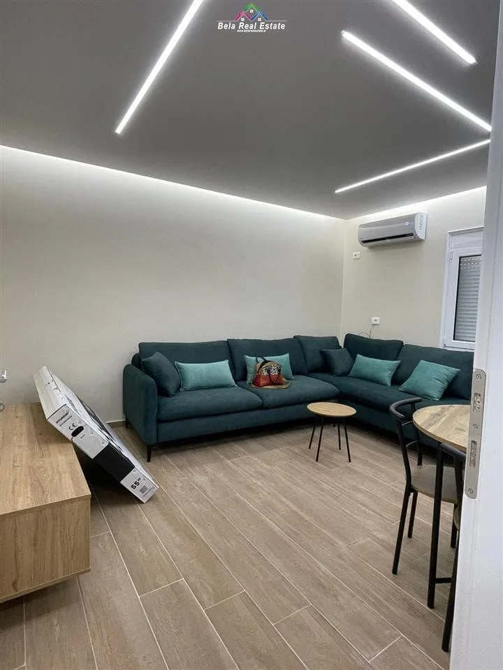 Apartament Me Qera 2+1 Tek Ali Demi (ID B221281) Tirane