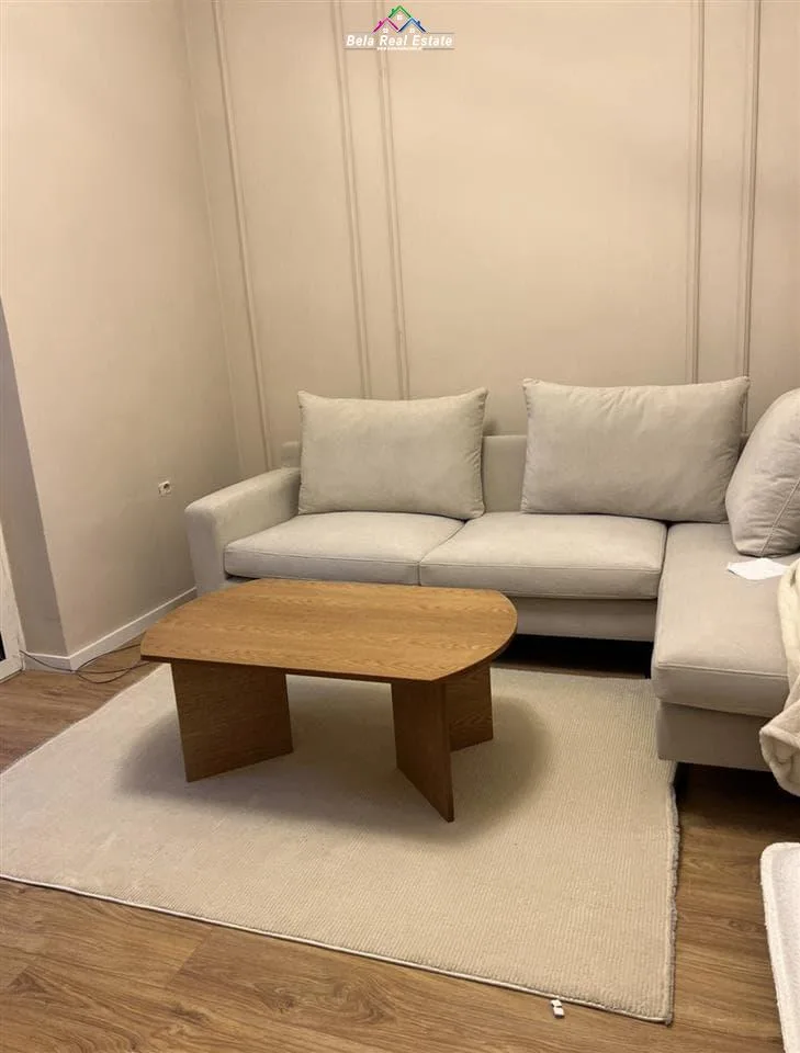 Apartament Me Qera 1+1 Tek Rruga e Elbasanit (ID B211311) Tirane