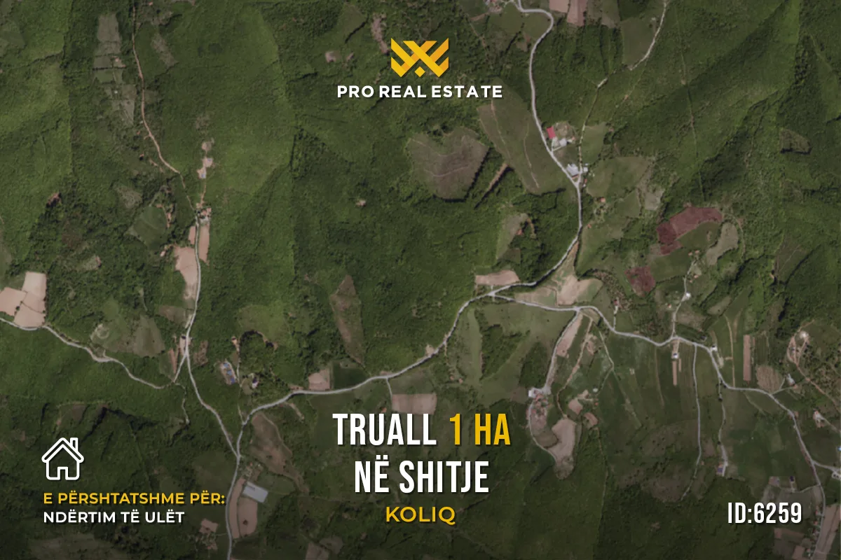 Truall 1 Ha për #SHITJE në Koliq