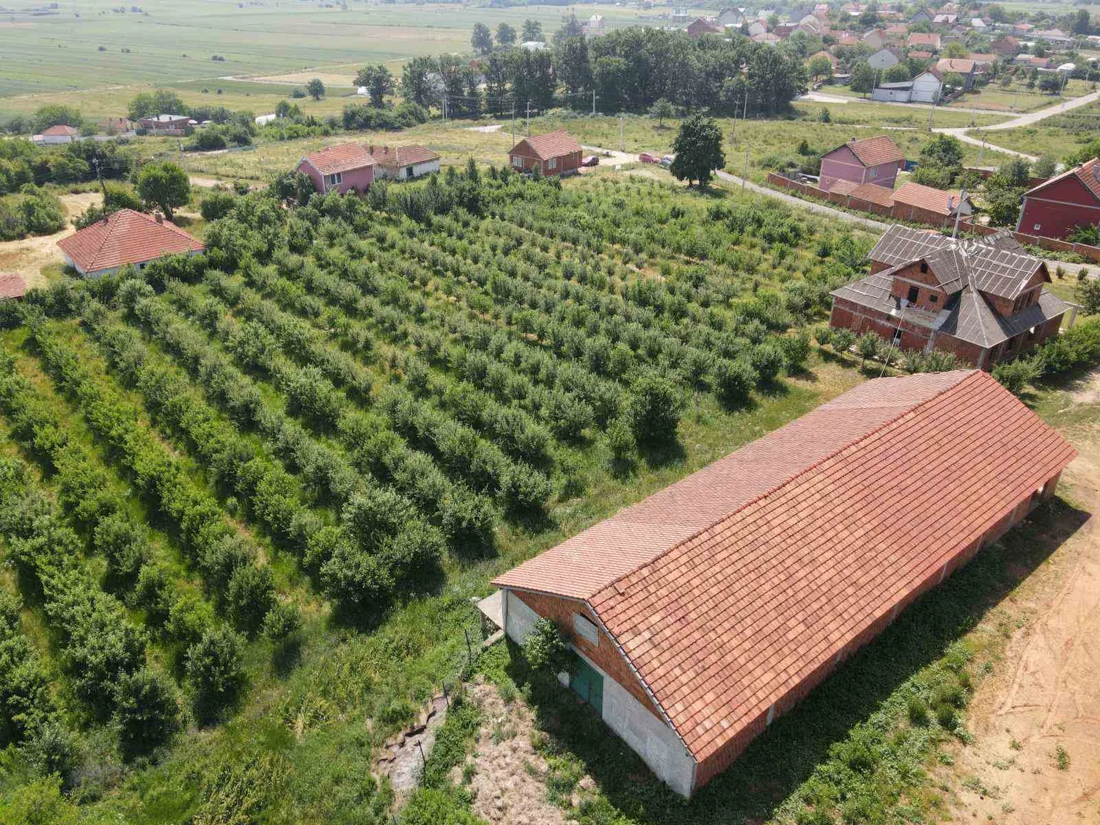 PRONË NË SHITJE NË FSHATIN BREGU I ZI ( CARRA BEG ) LIPJAN