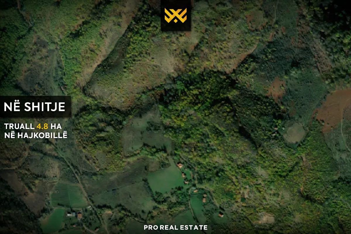 Truall 4.8 Ha për #SHITJE në Hajkobillë.