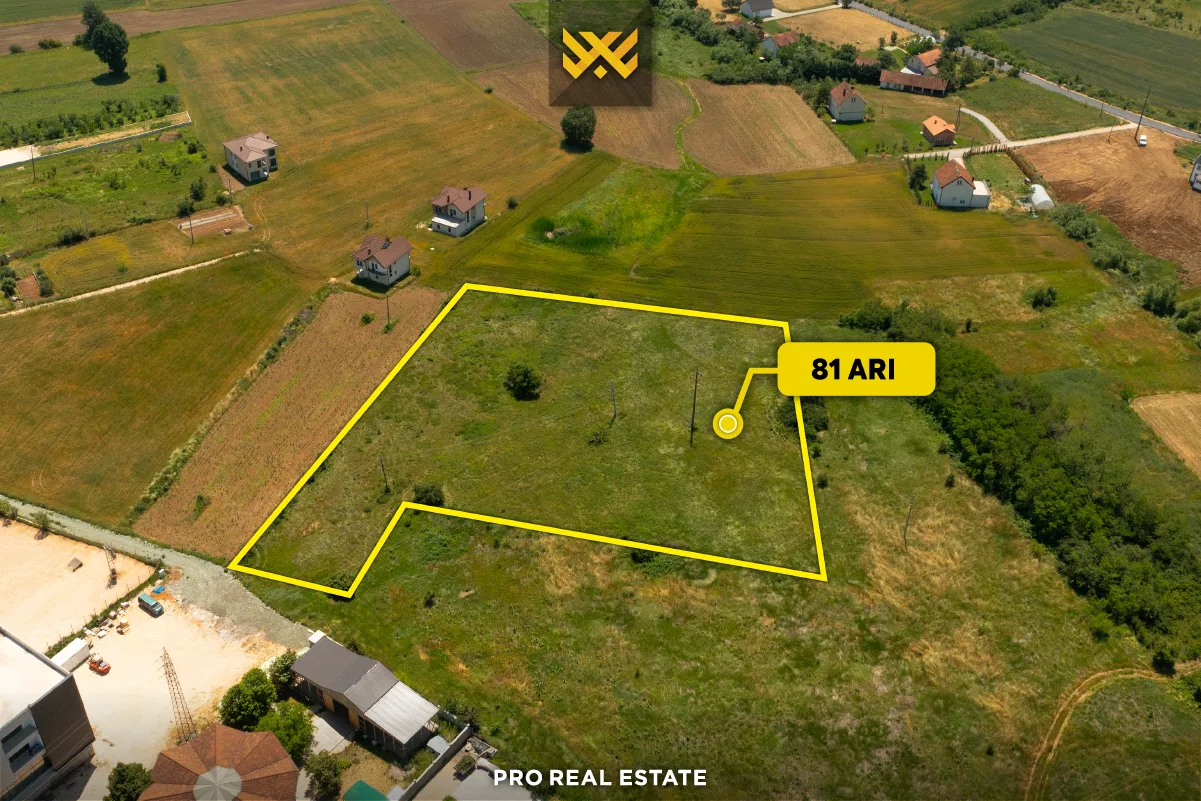 Truall 81 Ari në #SHITJE në Sllatinë e Madhe