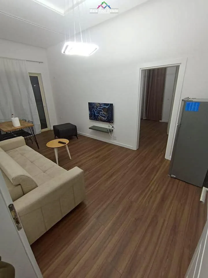 Apartament 1+1 Me Qera Ne Fresk (ID B210583) Tirane