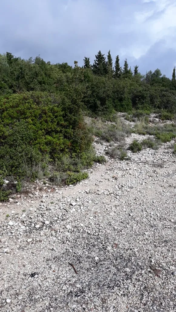 Shitet tokë arë në vuno, himarë