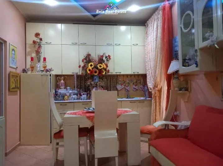 Apartament Me Qera 1+1 Tek Shallvaret (ID B211455) Tirane