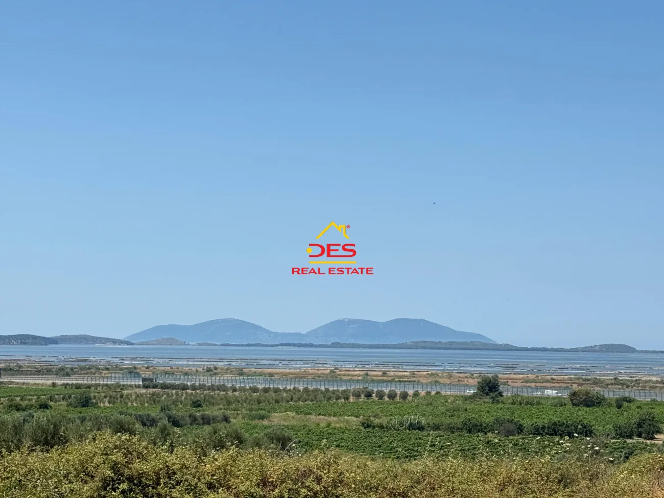 Shitet tokë – ullishte në panaja, vlorë