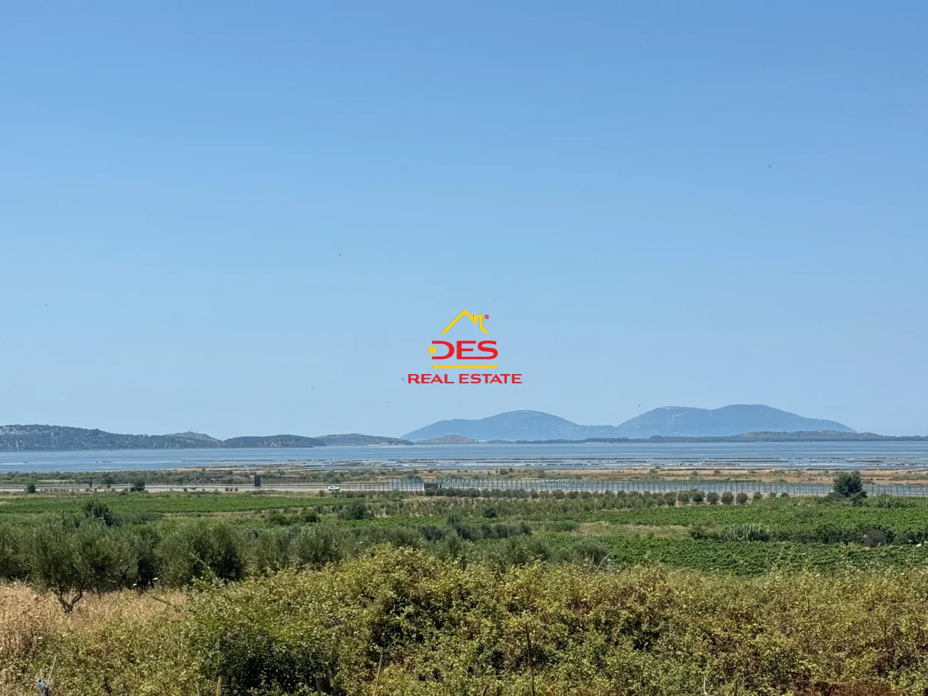 Shitet tokë – ullishte në panaja, vlorë