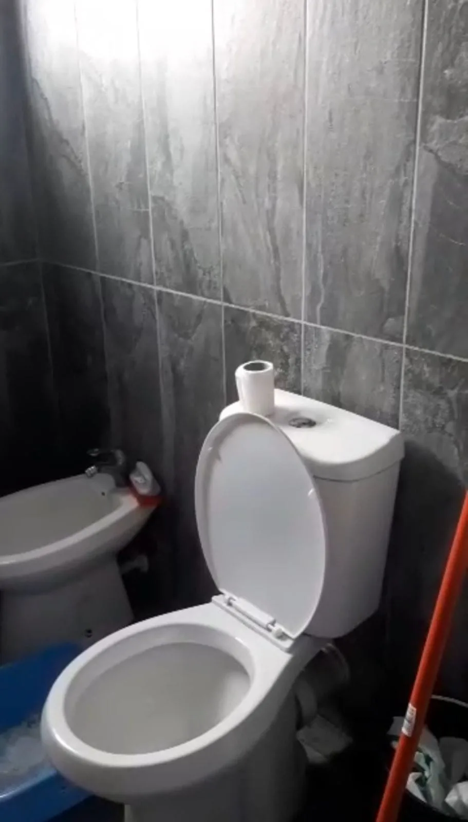 Vile Me Qera 2+1 Ne Laprake (ID BV22435) Tirane