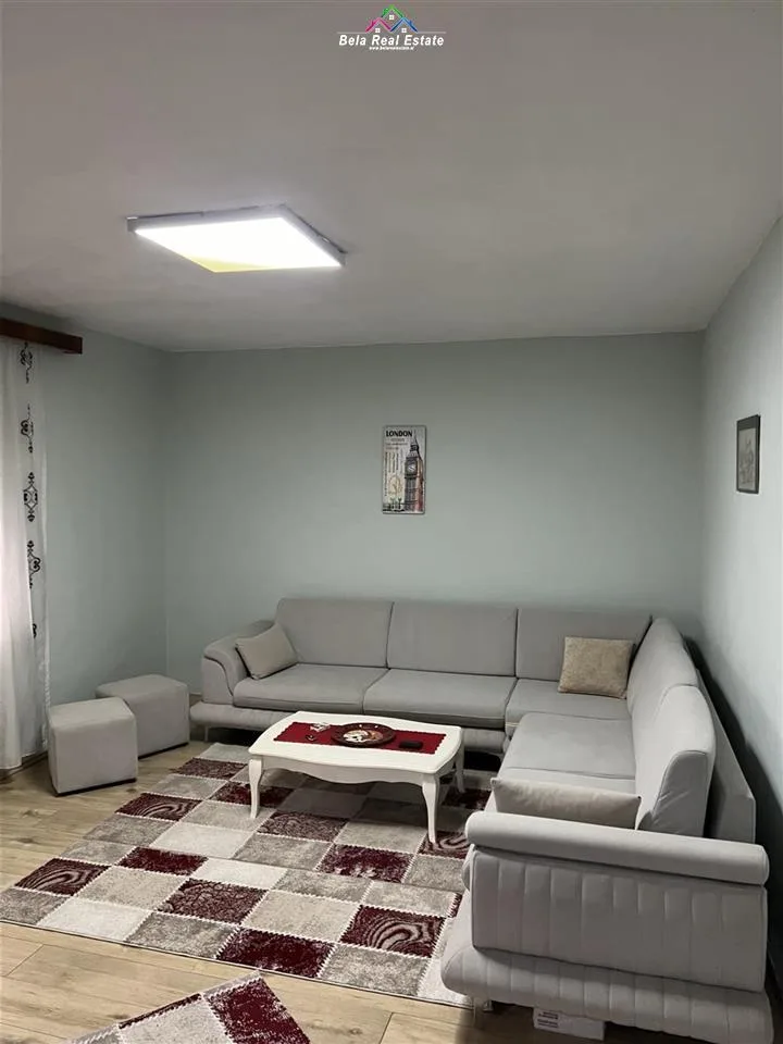 Apartament Per Shitje 1+1+aneks Ne Myslym Shyri (ID B111113) Tirane