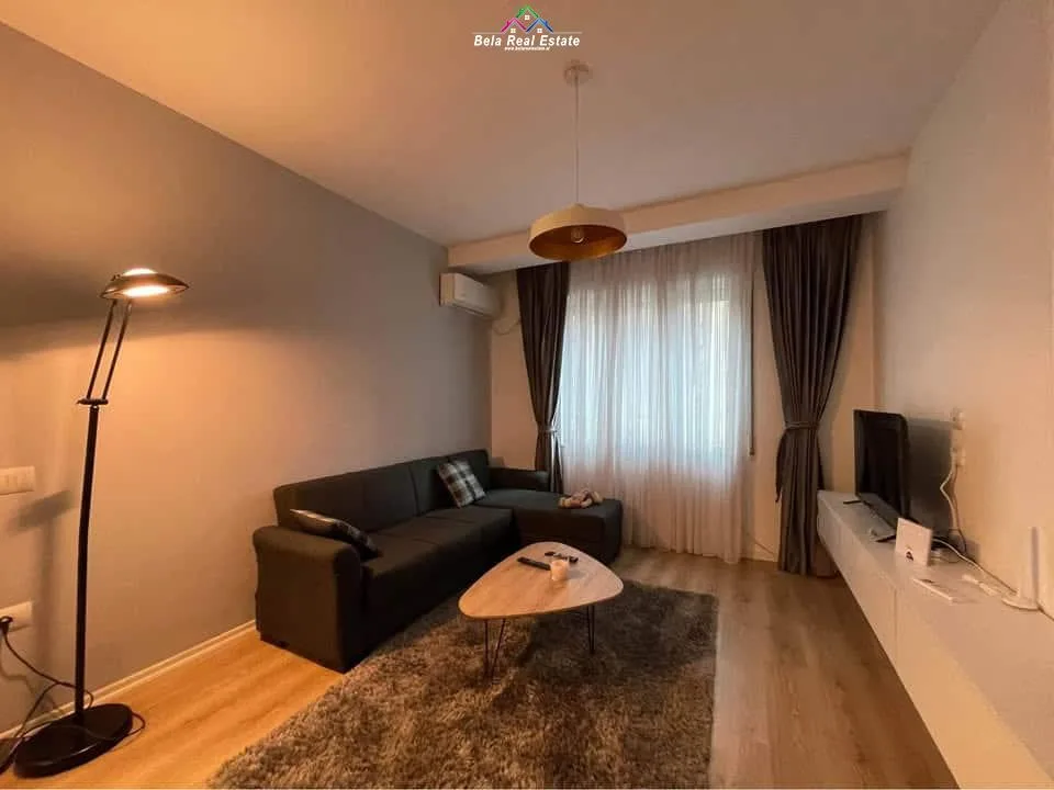 Apartament Me Qera 1+1 tek Rruga 5 Maji (ID B210957) Tirane