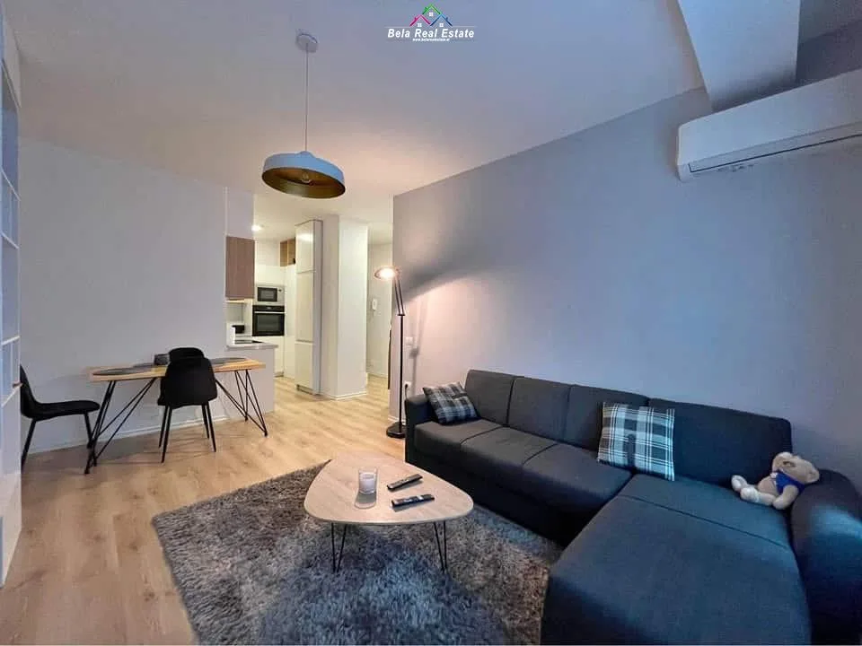 Apartament Me Qera 1+1 tek Rruga 5 Maji (ID B210957) Tirane