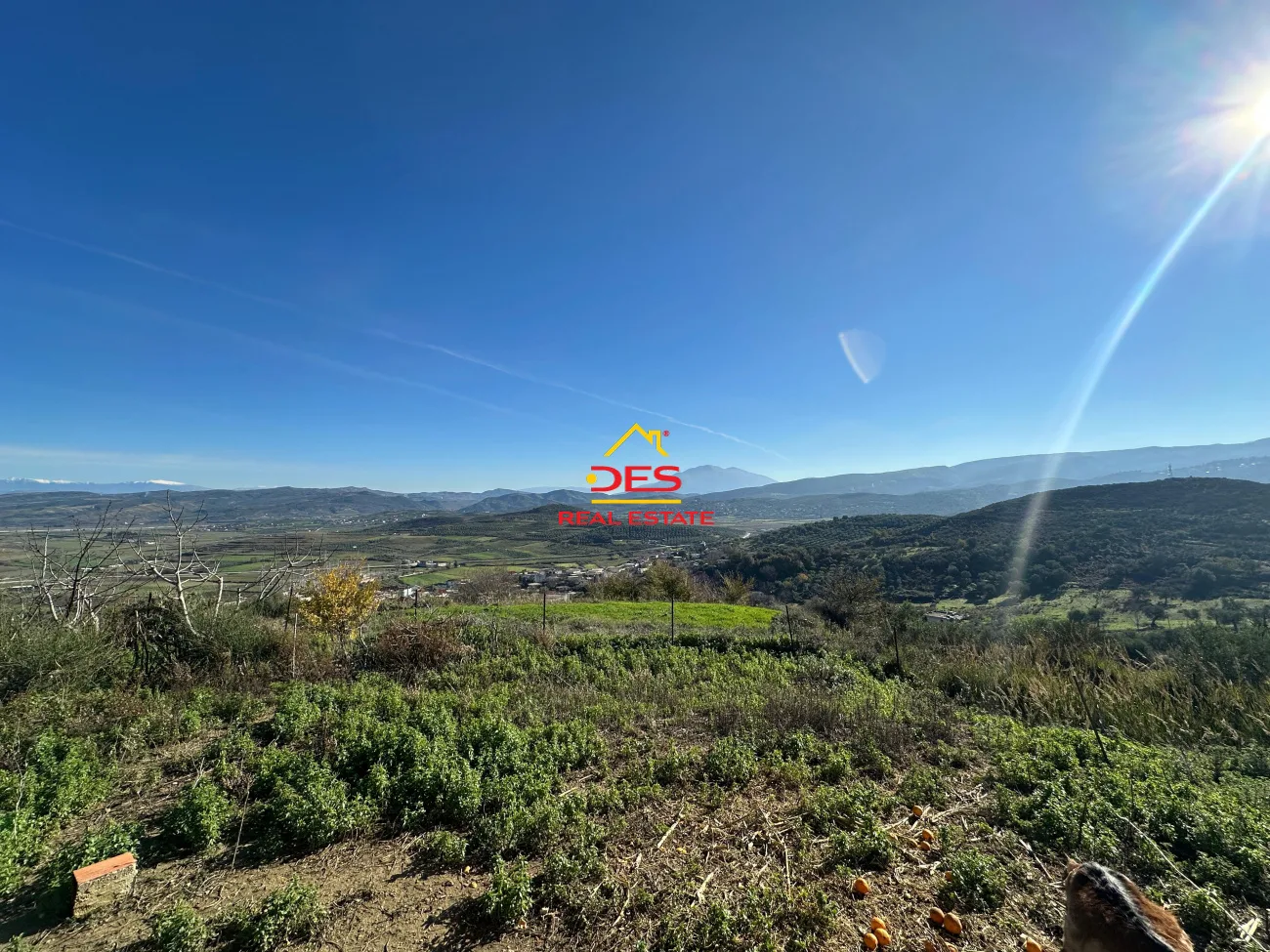 Shitet shtëpi private 1-katëshe – babicë e madhe, kodër, vlorë