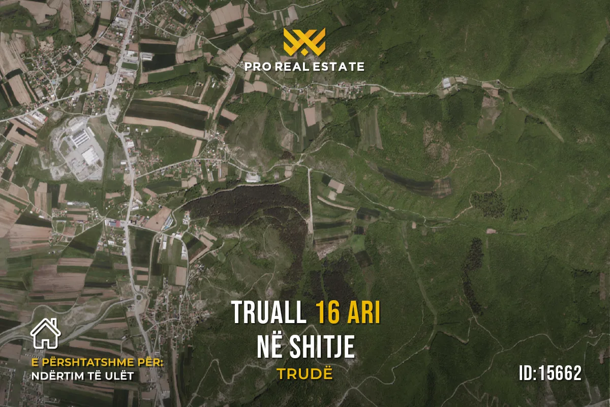 Truall 16 Ari për #SHITJE në Trudë