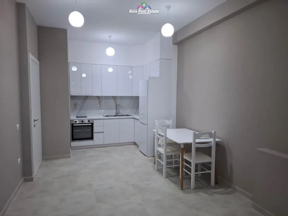 Apartament Me Qera 1+1 Prane Spitalit Amerikan 3 (ID B2101300) Tirane