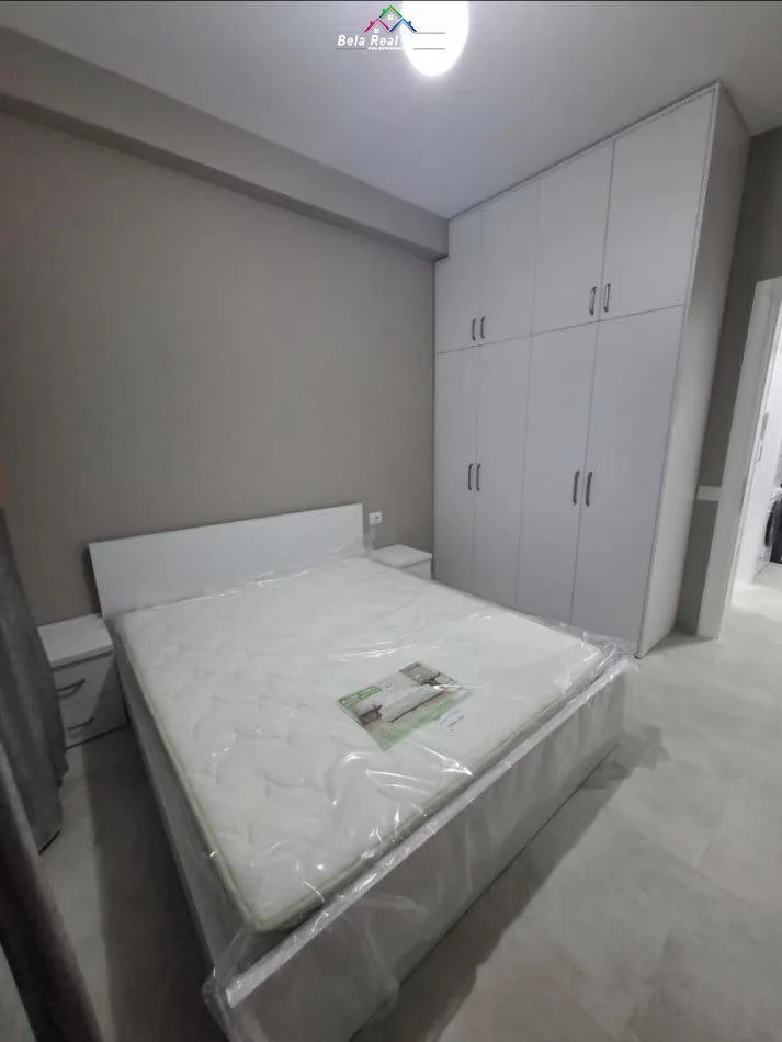 Apartament Me Qera 1+1 Prane Spitalit Amerikan 3 (ID B2101300) Tirane