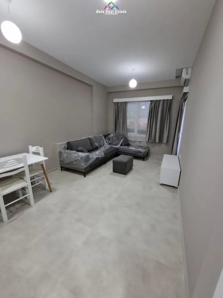 Apartament Me Qera 1+1 Prane Spitalit Amerikan 3 (ID B2101300) Tirane